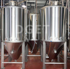 1000L Stainless Steel Beer Fermentation Tank Brewery Fermenter for Sale