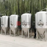 1000L Stainless Steel Dimple Jacket Conical Fermenter Restaurant Microbrewery Equipment brewing system China