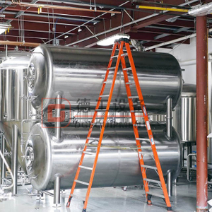 1000L/1500L/2000L Commercial Bright Beer Tank/serving Tank Expand Brewery 
