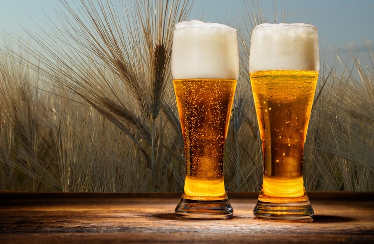 what-are-the-differences-between-barley-beer-and-wheat-beer-degong