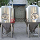 10HL Fermentation Vessel with double wall and cooling dimple jacket 